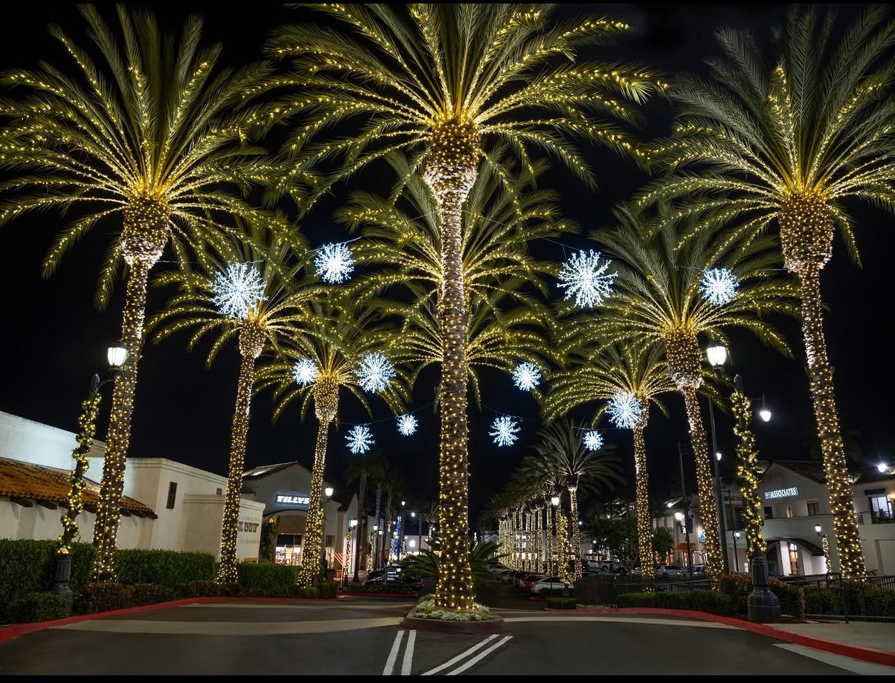 Commercial Christmas lights on property