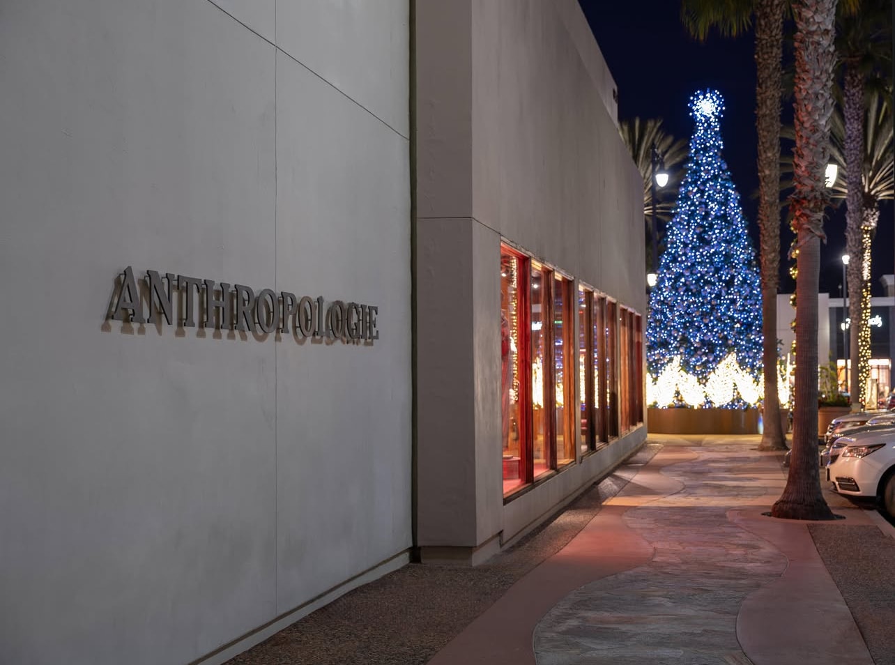 Commercial security and accent lighting