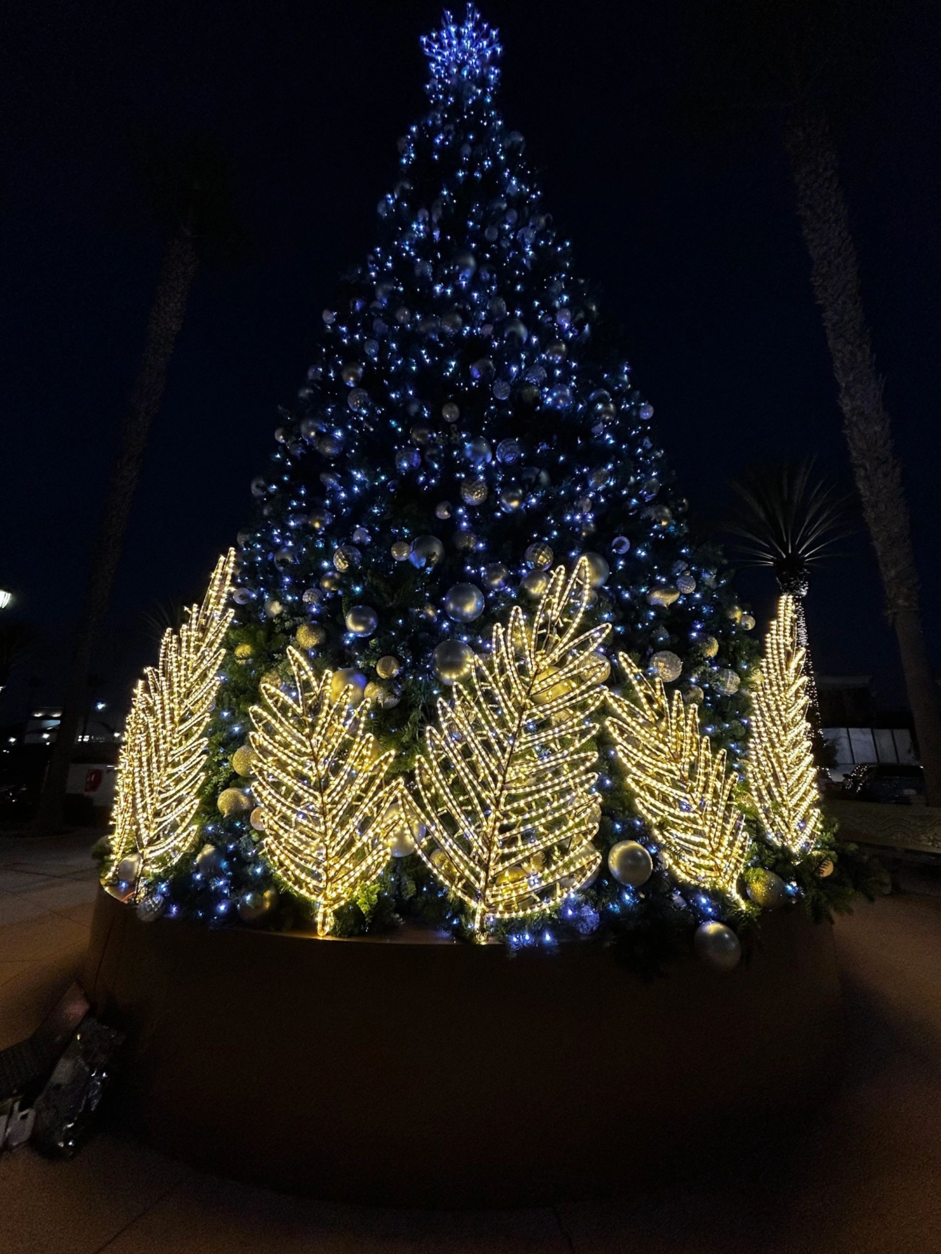 Beautifully lit outdoor event space