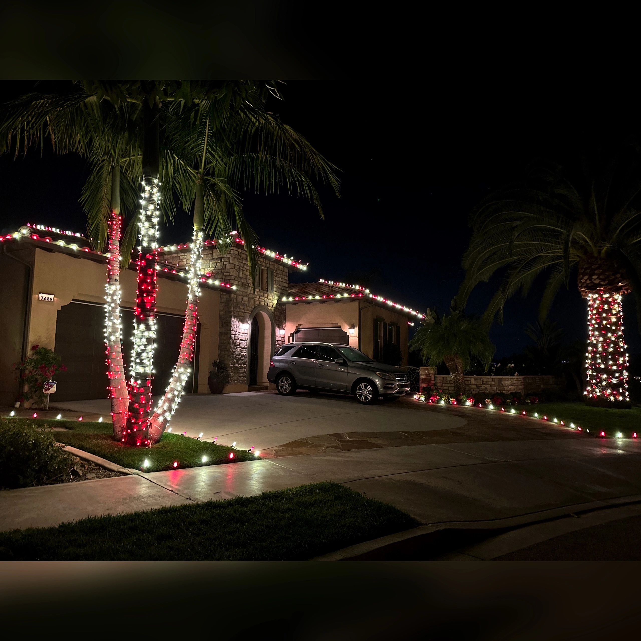 Christmas lights on a home and palm trees