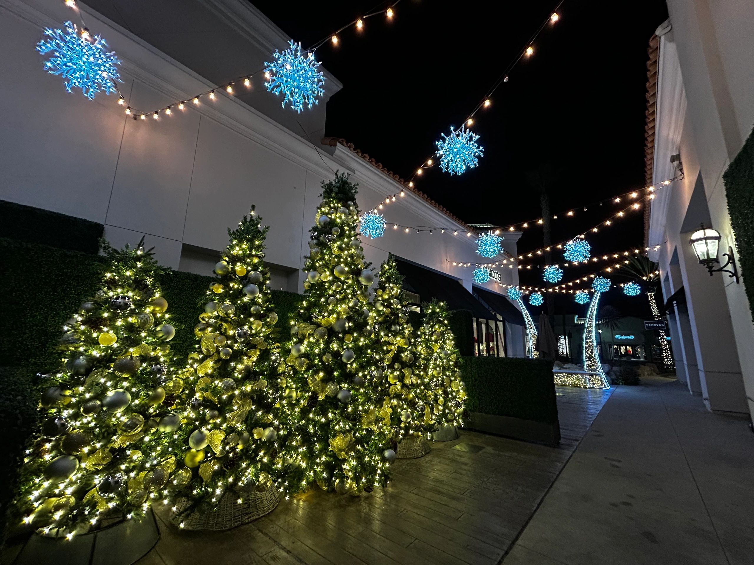 Landscape lighting project